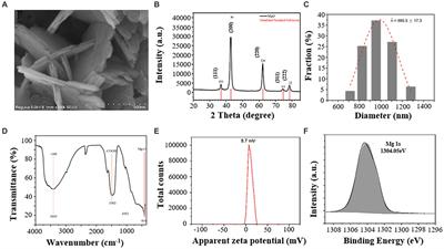 Magnesium oxide nanoparticles reduce clubroot by regulating plant defense response and rhizosphere microbial community of tumorous stem mustard (Brassica juncea var. tumida)